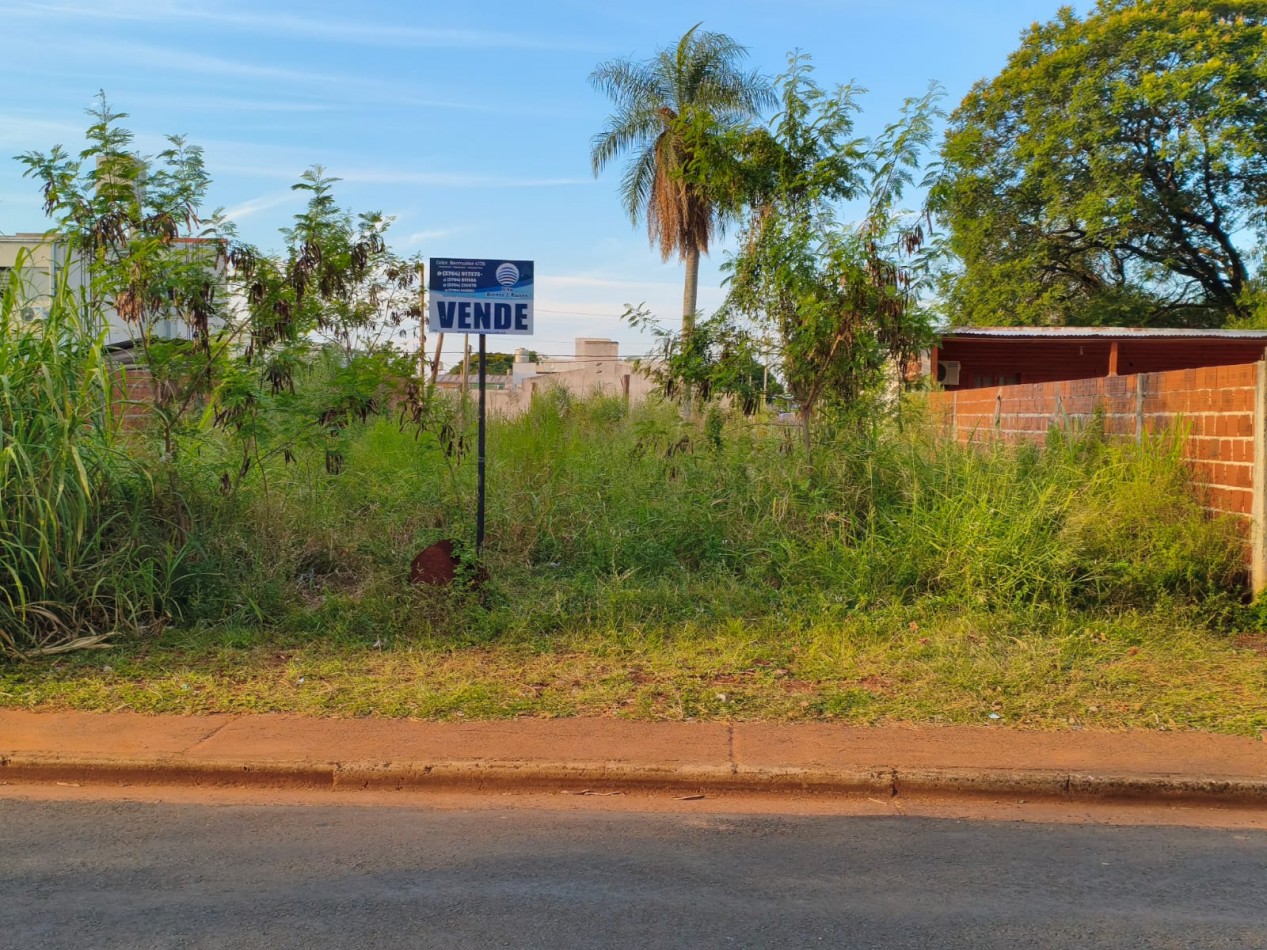 TERRENO EN VENTA Z/AV. ITUZAINGO Y AV. BRAULIO ARECO (115)