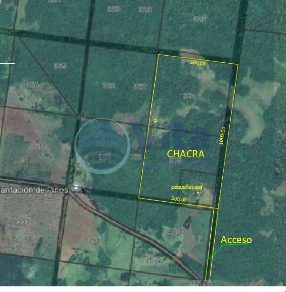 CHACRA EN VENTA EN SAN JOSE/MISIONES  50 HA