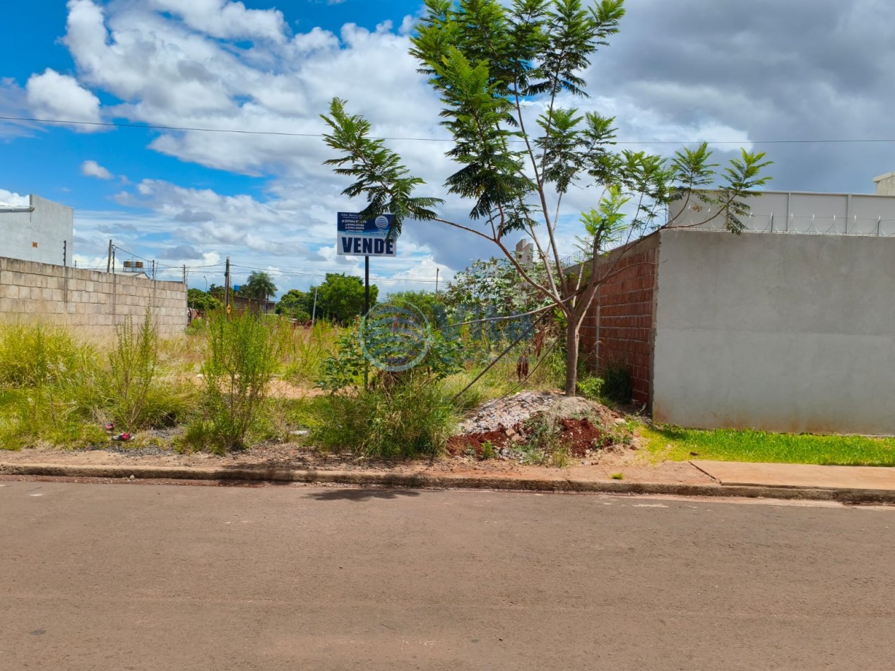 TERRENO EN VENTA Z/AV. BRAULIO ARECO(115) Y AV. ITUZAINGO