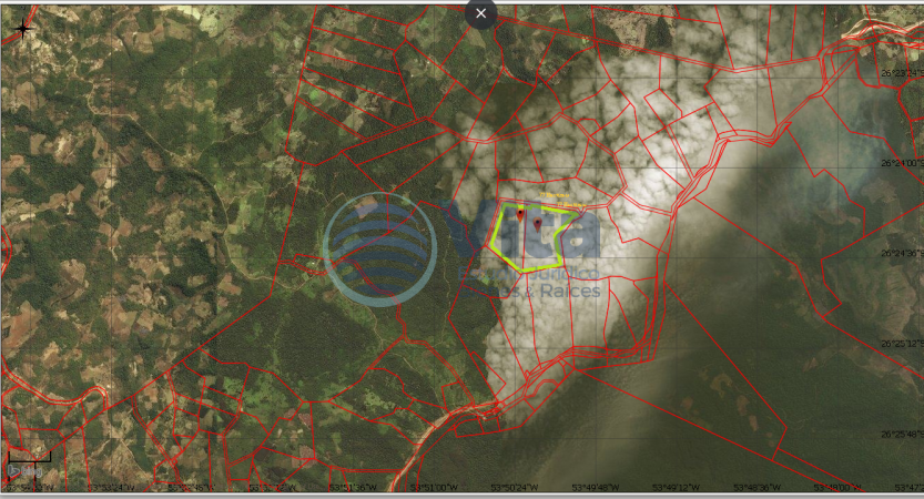 VENTA DE 77 HECTAREAS EN SAN PEDRO 