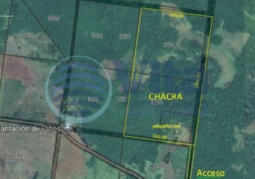 CHACRA EN VENTA EN SAN JOSE/MISIONES  50 HA